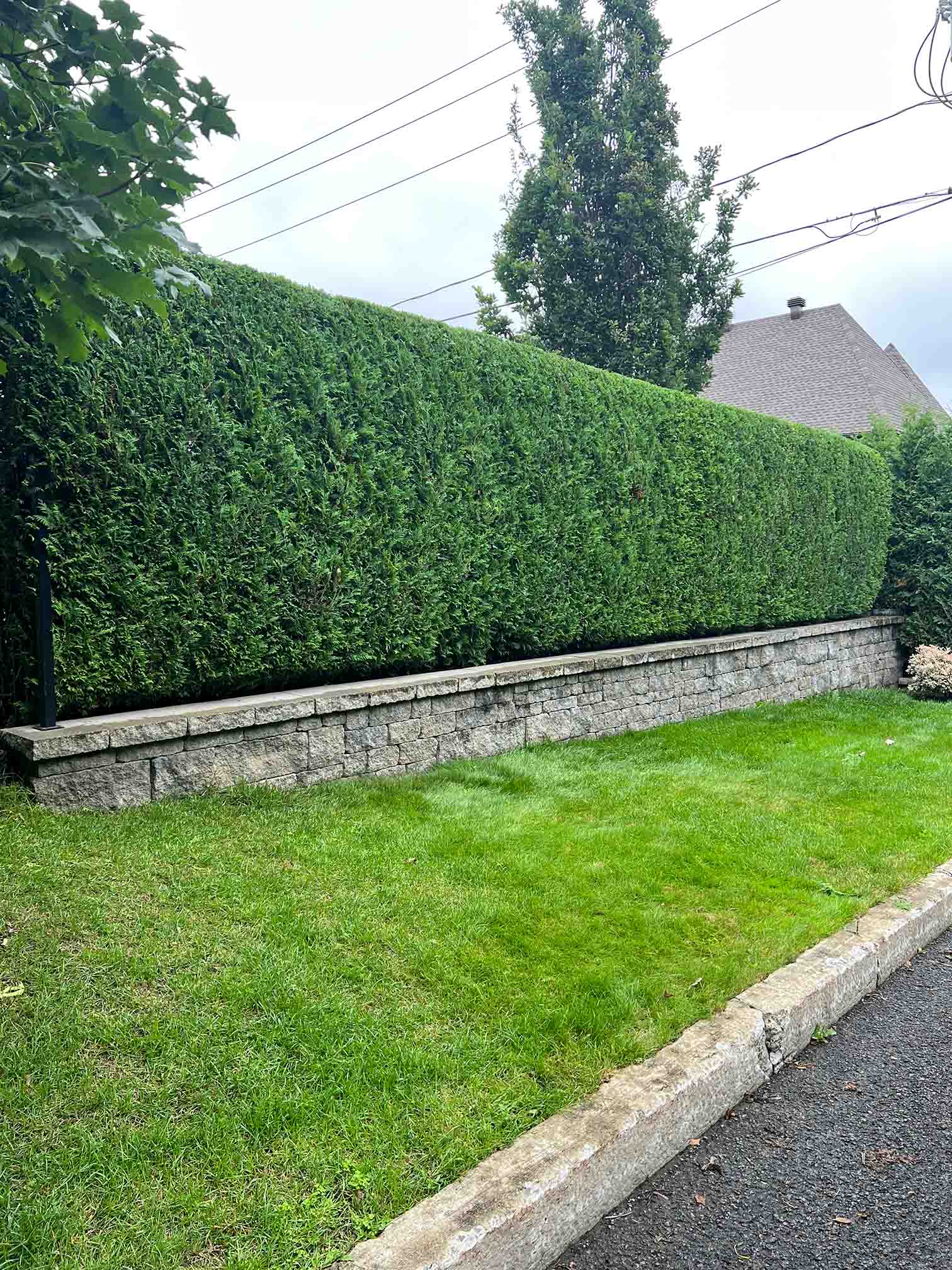 les-2-freres-du-quartier_entrepreneur-general-a-quebec_revetement-de-beton_taille-de-haie_nettoyage-saisonnier_services-paysagement