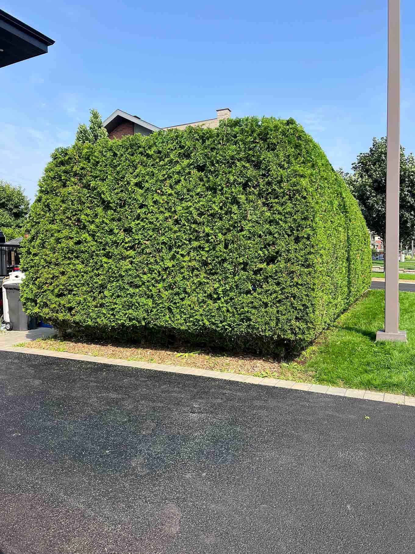 les-2-freres-du-quartier_entrepreneur-general-a-quebec_revetement-de-beton_taille-de-haie_nettoyage-saisonnier_services-paysagement_inspiration2