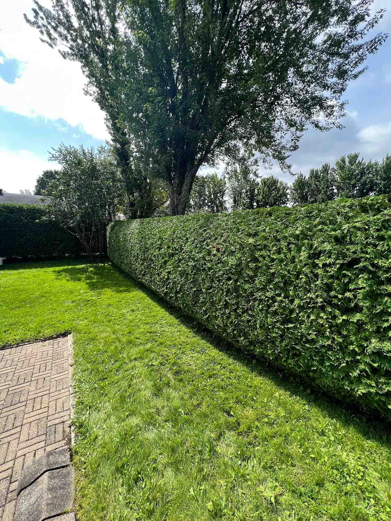 les-2-freres-du-quartier_entrepreneur-general-a-quebec_revetement-de-beton_taille-de-haie_nettoyage-saisonnier_services-paysagement_inspiration3